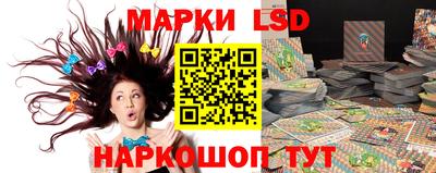 МДПВ Бийск