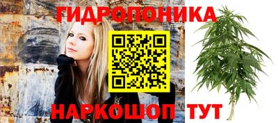 эйфоретик Берёзовский