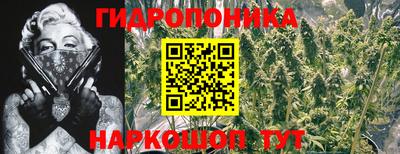 PSILOCYBIN Апшеронск